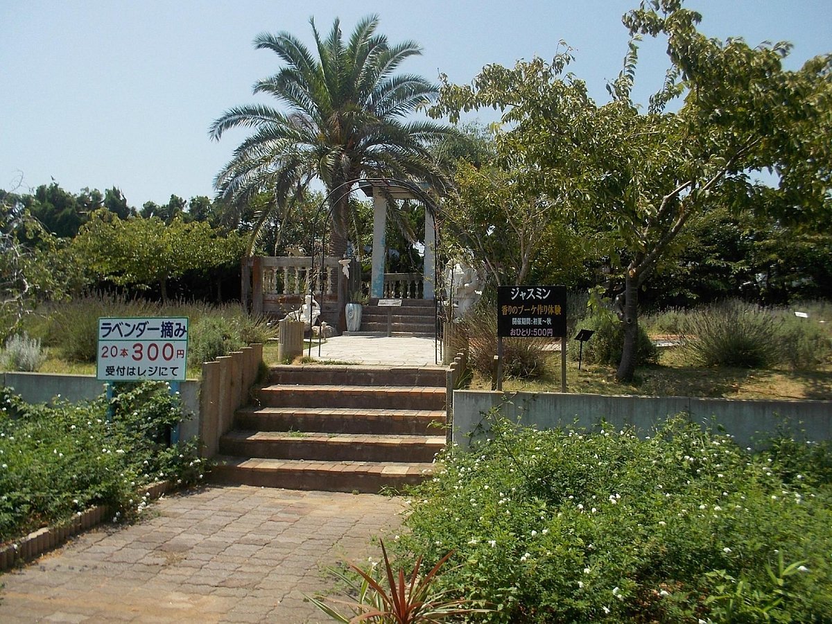 🌿 바다 옆 허브 정원 (하브가덴 포켓토) 이미지 1